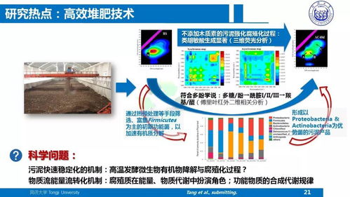 戴曉虎教授PPT分享 面向污水廠提質增效的污泥處理處置技術方向思考與技術推廣