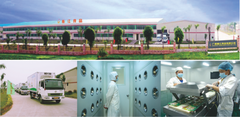 新?tīng)I(yíng)銷(xiāo)法則破局?jǐn)?shù)字化時(shí)代 廣西春江鹵味鴨掌如何以技術(shù)推廣引領(lǐng)零食行業(yè)新風(fēng)潮